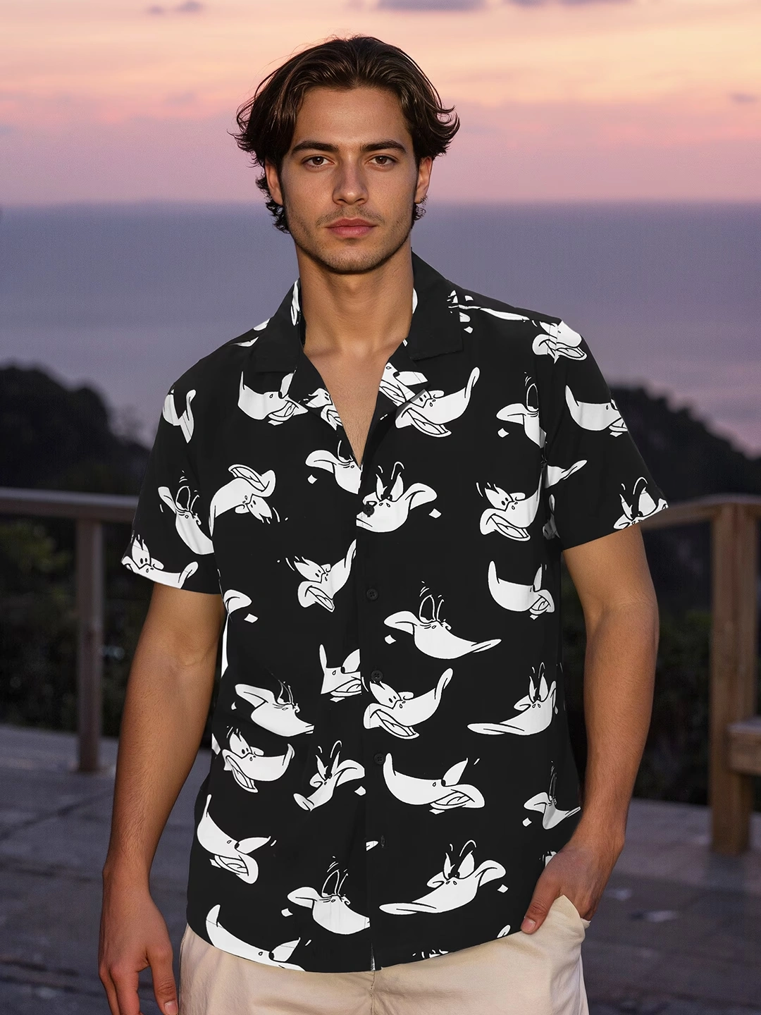 Daffy Duck: Go Hawaii