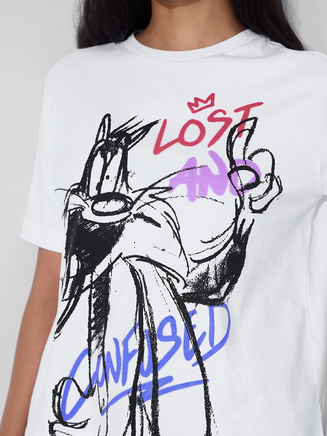 Looney Tunes: Lost & Confused