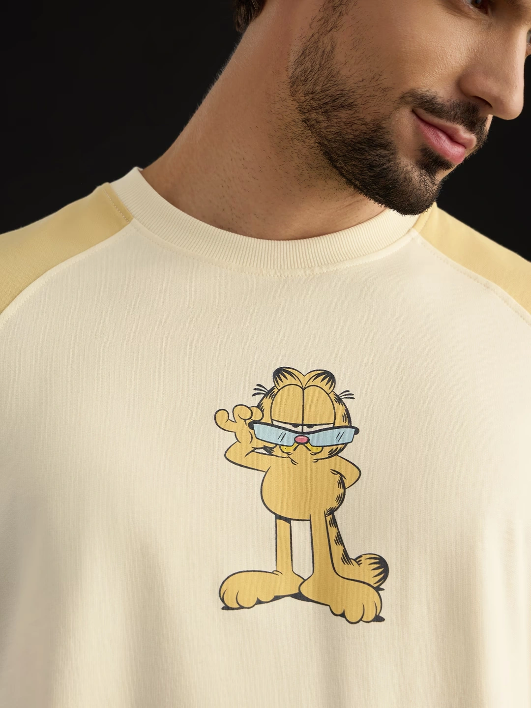 Garfield: Napmaster