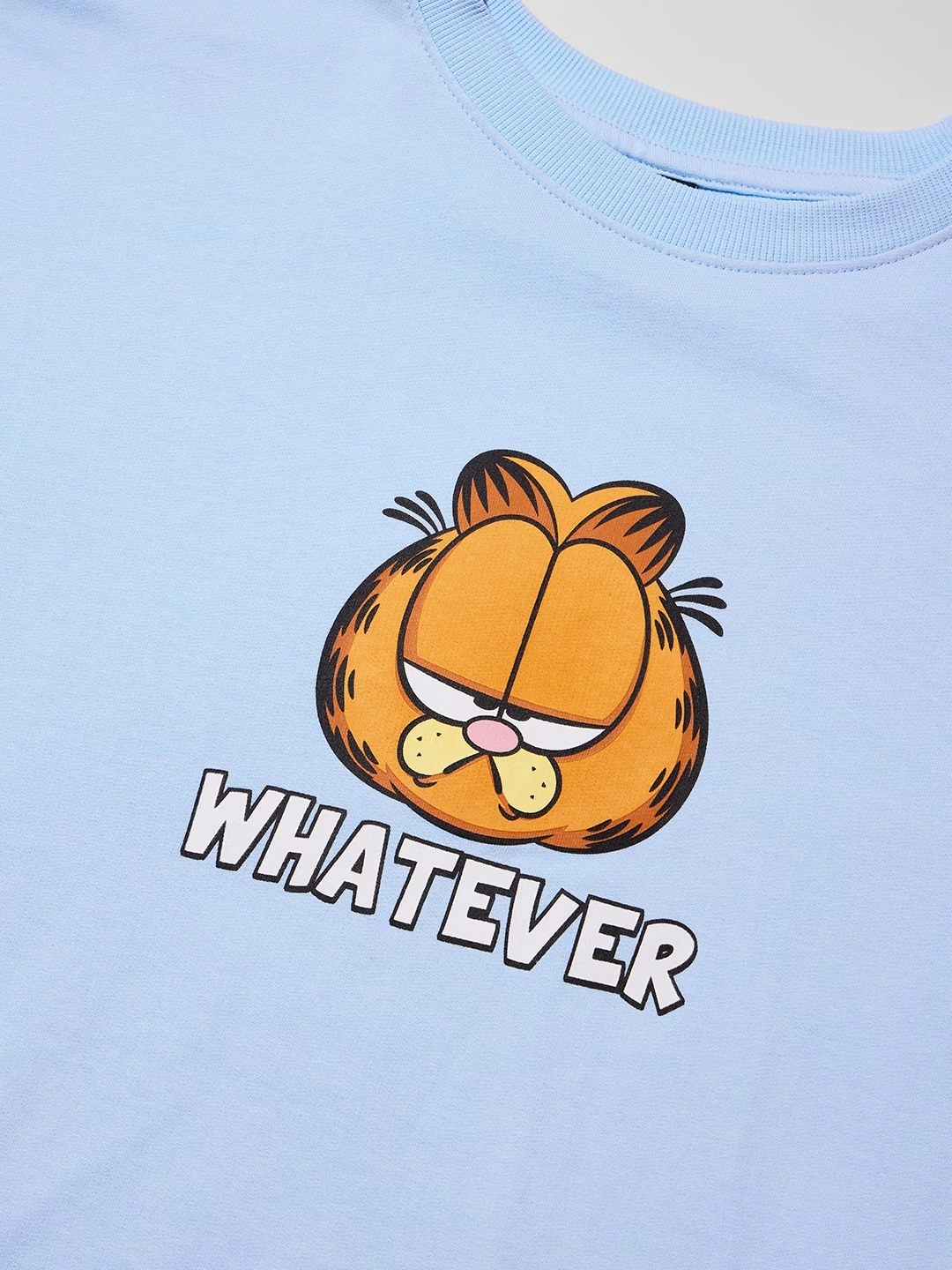 Garfield: Don't Care