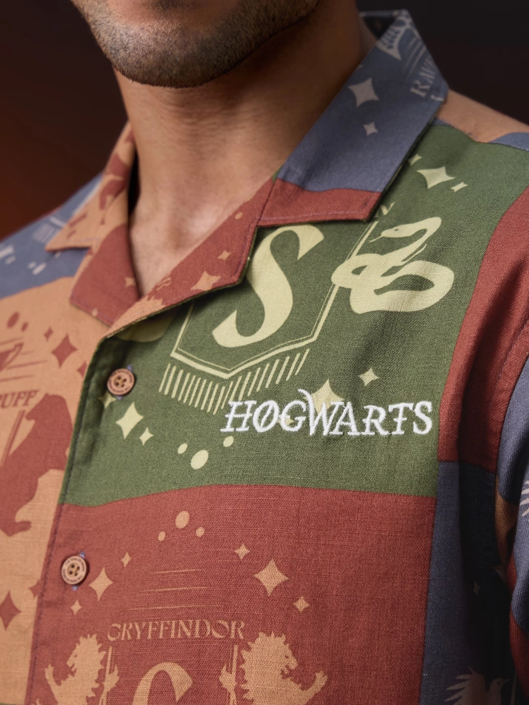 Harry Potter: The Hogwarts House