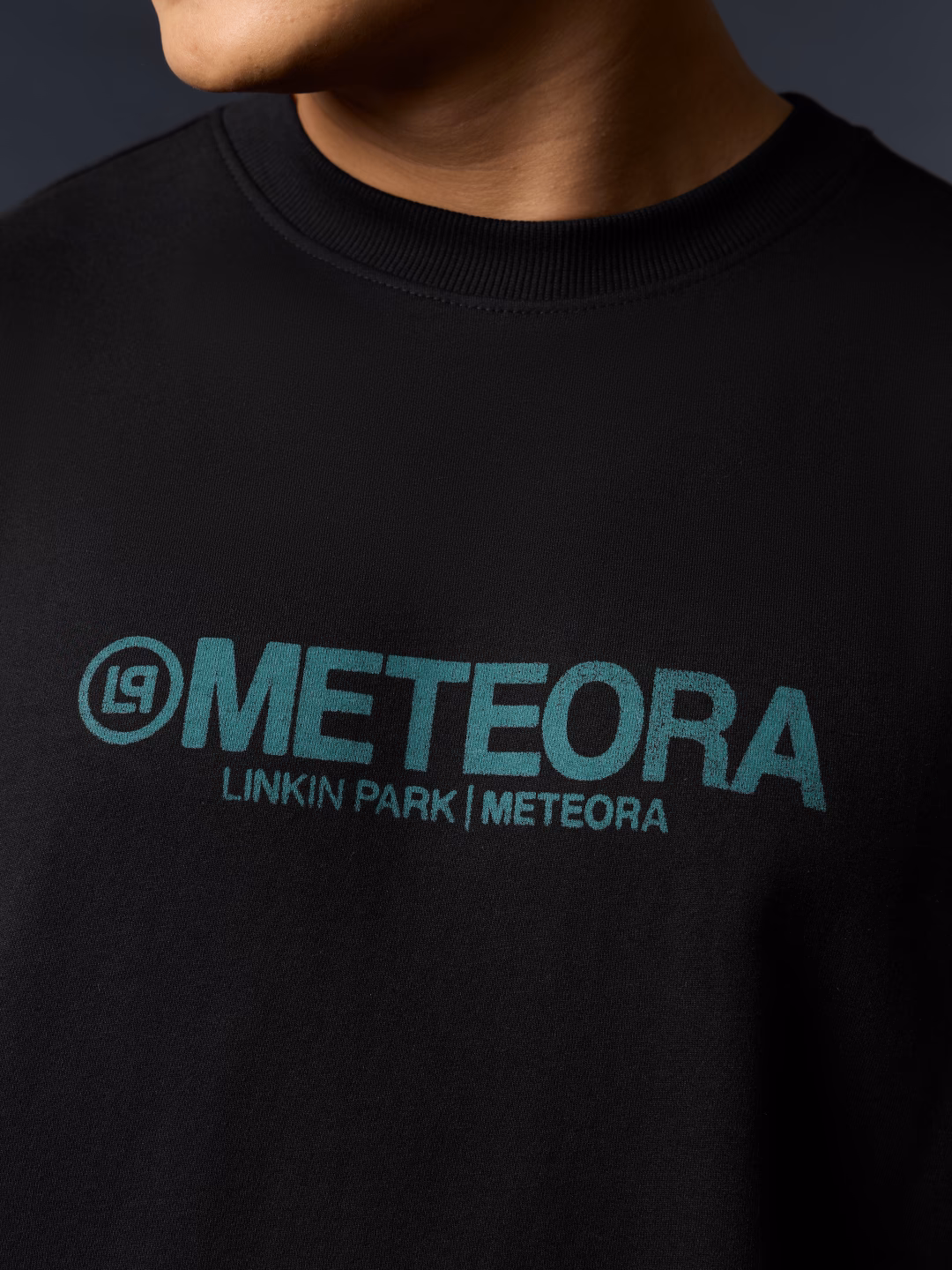 Linkin Park: Vintage Meteora